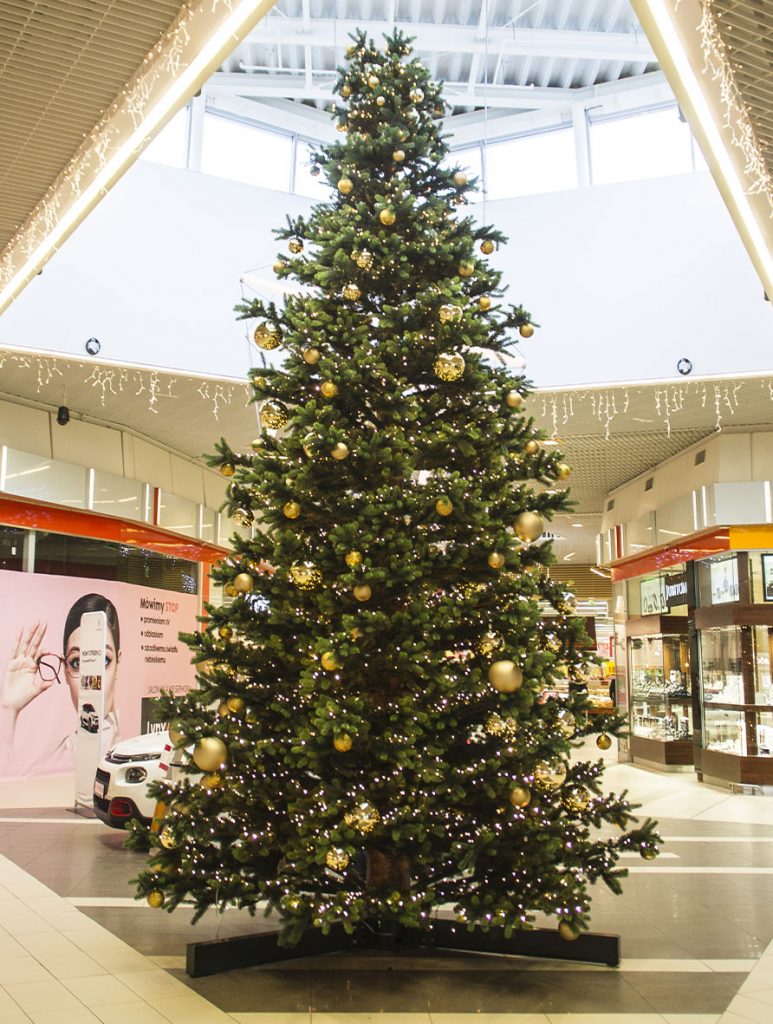 Auchan Lomianki My tree 773x1024 1