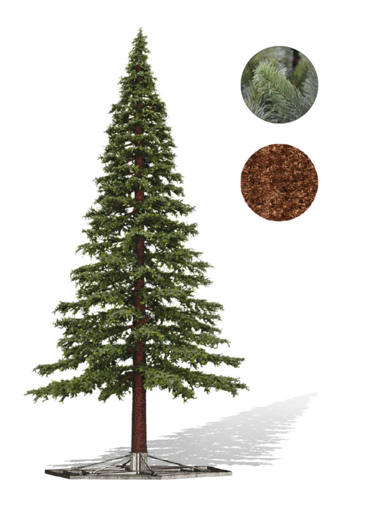 Pine Giant Extra 01 773x1024 1