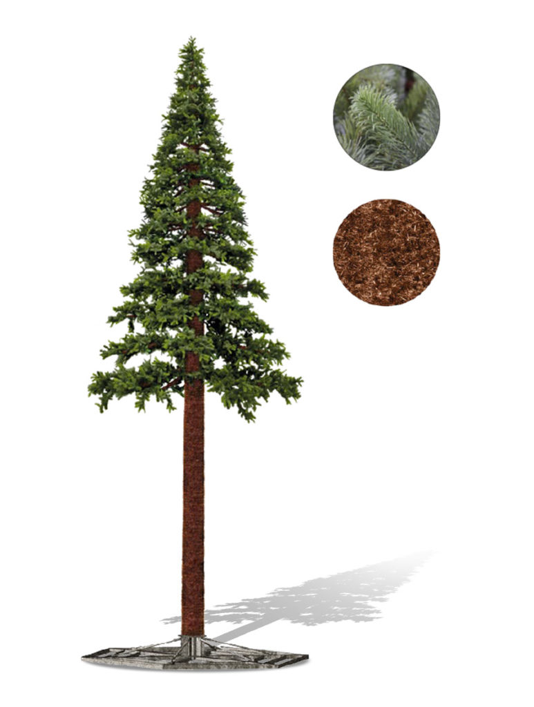 Pine Giant Tree 01 773x1024 1