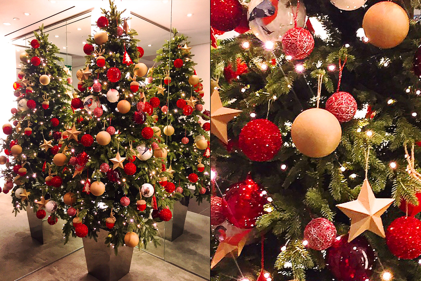Strona Realizacje Hotel Brown Thomas 01 1 1