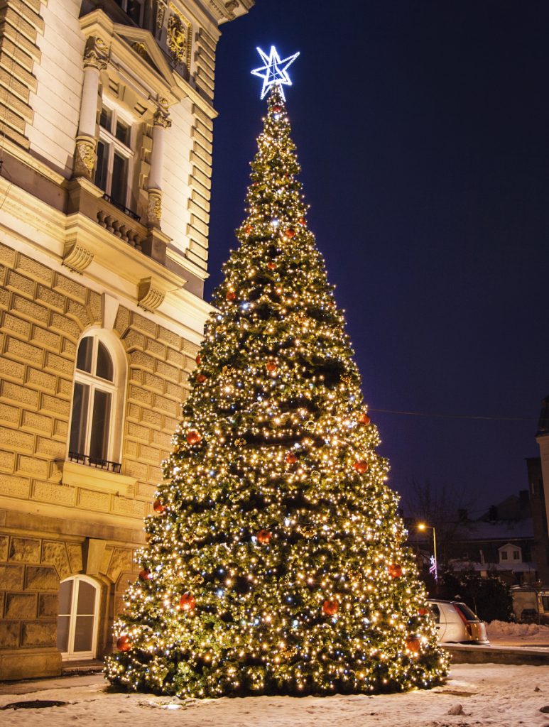 choinka zdjecie bielsko biala 2 773x1024 1