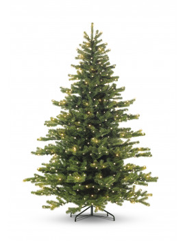 exclusive 210cm setled 2