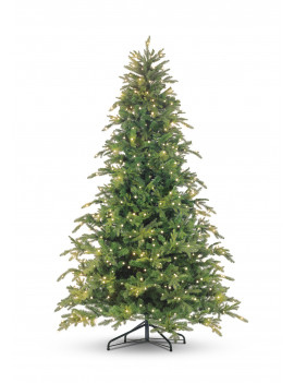 premium mix pe 210cm setled